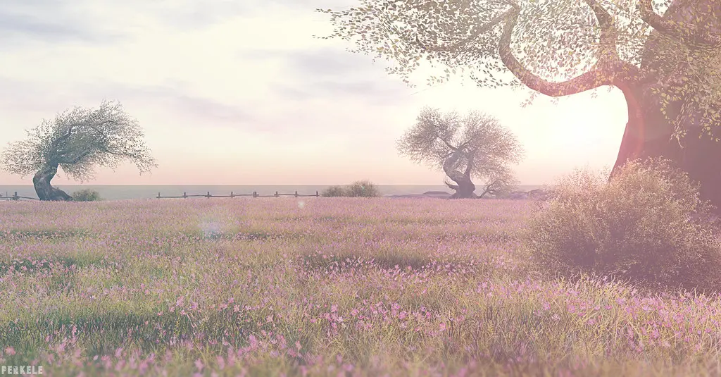 A soft pink meadow beneath wide trees in the first Pususaari